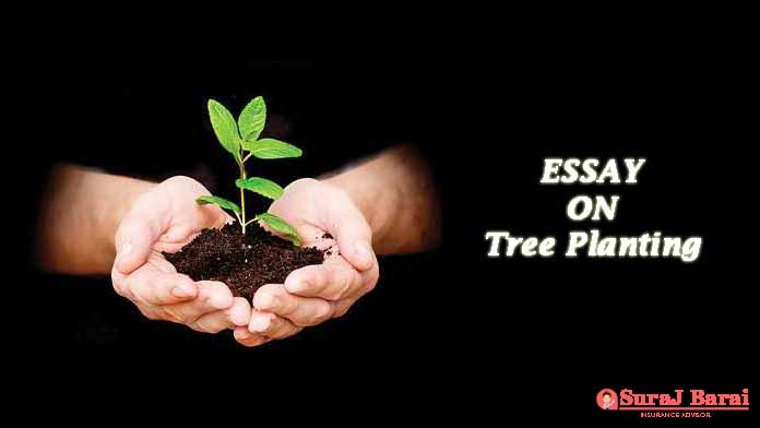 hindi essay of trees and plants