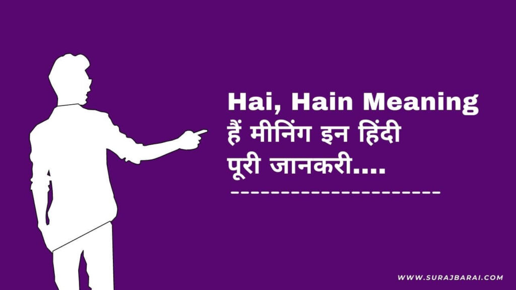 Hain, Hai Meaning in Hindi